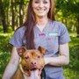 Photo of Crosslake Veterinary Hospital