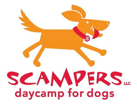 scampers dog daycare