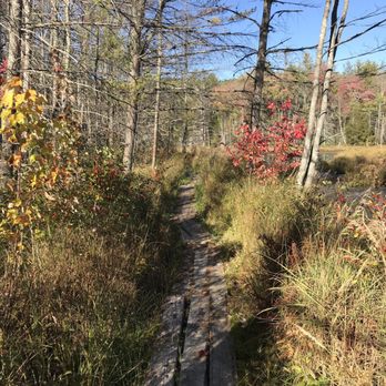 Quincy Bog Natural Area - Parks Near Me - Rumney, New Hampshire