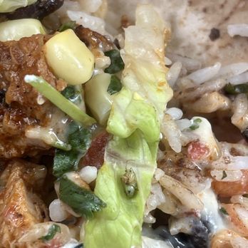 Chipotle Mexican Grill - I found a bug in chipotle bowl - Mexican Near Me - Marietta, Georgia