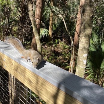 John Chesnut Sr Park - Parks Near Me - Palm Harbor, Florida