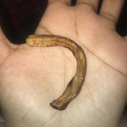 Wendy's - Burnt Fry