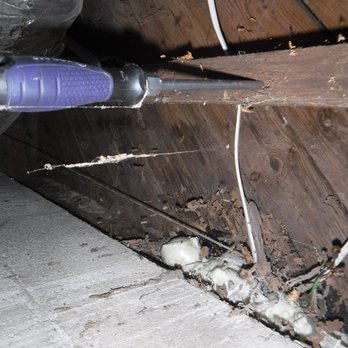 Inspect-All Home Inspections - Rotted floor joists - Home Inspectors Near Me Inspect-All Home Inspections - Rotted floor joists - Home Inspectors Near Me