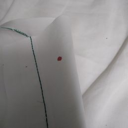 Blood