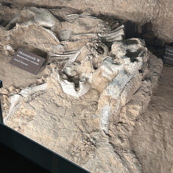 Waco Mammoth National Monument - Museums Near Me - Waco, Texas Waco Mammoth National Monument - Museums Near Me - Waco, Texas