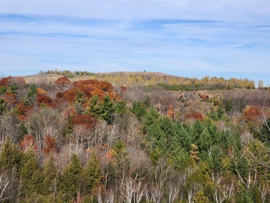 Rouge National Urban Park by null
