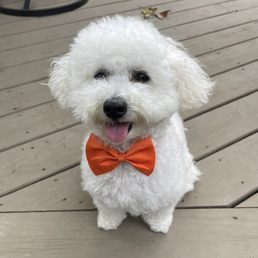 Second grooming Second grooming