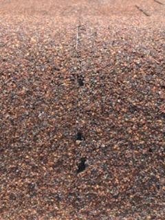 Slide of Temo Roofing and Metal