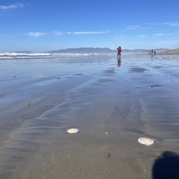 Ocean Beach - Sand dollars and fishermen - Parks Near Me - San Francisco, California Ocean Beach - Sand dollars and fishermen - Parks Near Me - San Francisco, California