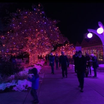 Blossoms of Light - Botanical Gardens Near Me - Denver, Colorado
