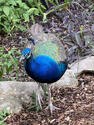 Mayfield Park and Nature Preserve by null