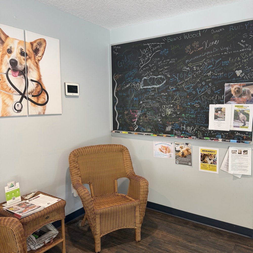 Southeast Veterinary Hospital - Waiting area - Veterinarians Near Me - St. Augustine, Florida