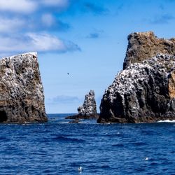 Island Packers Cruises