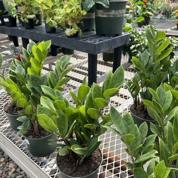 Wagners Garden Center - Lots of variety! - Nurseries & Gardening Near Me - Minneapolis, Minnesota Wagners Garden Center - Lots of variety! - Nurseries & Gardening Near Me - Minneapolis, Minnesota