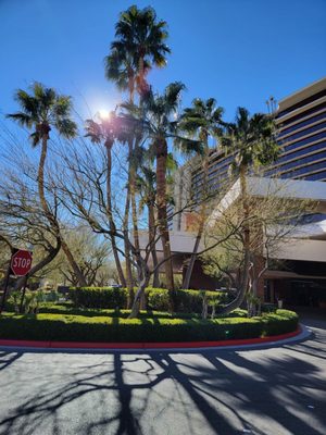 Red Rock Pool by null