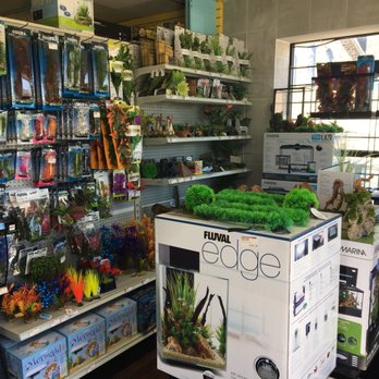 Wet Pets Aquariums - Pet Stores Near Me - Milton, Ontario Wet Pets Aquariums - Pet Stores Near Me - Milton, Ontario