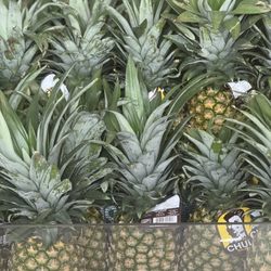 JD's Super Market - Pineapples