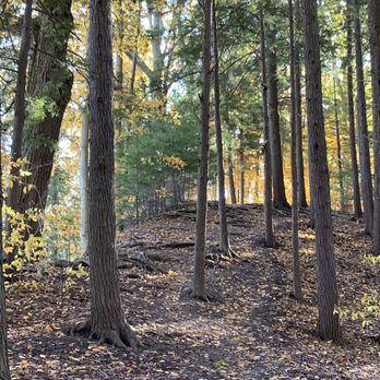 Zoar Valley - Parks Near Me