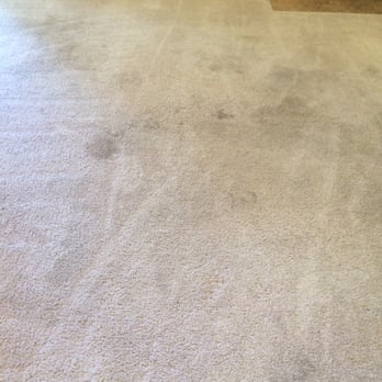Tacoma Cleanpro - Before - Carpet Cleaning Near Me