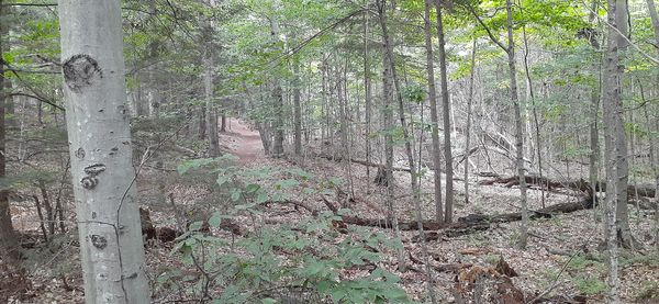 Newport State Park by null