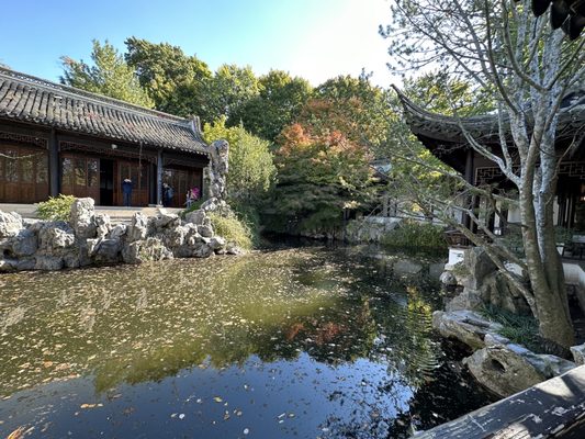 New York Chinese Scholar's Garden, Snug Harbor Cultural Center by null