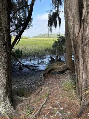 Skidaway Island State Park by null