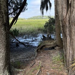 Skidaway Island State Park - From the trail