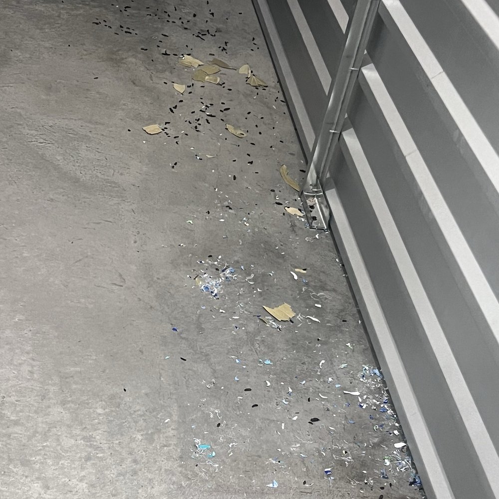 StorQuest Self Storage - Rats poop everywhere - Self Storage Near Me - San Jose, California StorQuest Self Storage - Rats poop everywhere - Self Storage Near Me - San Jose, California