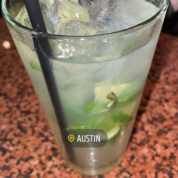 Freda's Seafood Grille - Mojito - Seafood Near Me - Austin, Texas Freda's Seafood Grille - Mojito - Seafood Near Me - Austin, Texas