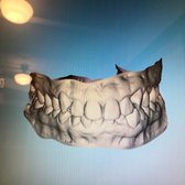 Photo of Smile Direct Club - Washington, DC, United States. My scan was great!