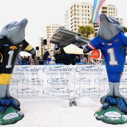 Outback Bowl - Outback Bowl 2017, Florida Gators vs Iowa Hawkeyes, beach bash dolphins, Raymond James Stadium, Tampa