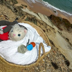 Areias Do Seixo - Bringing the kids along