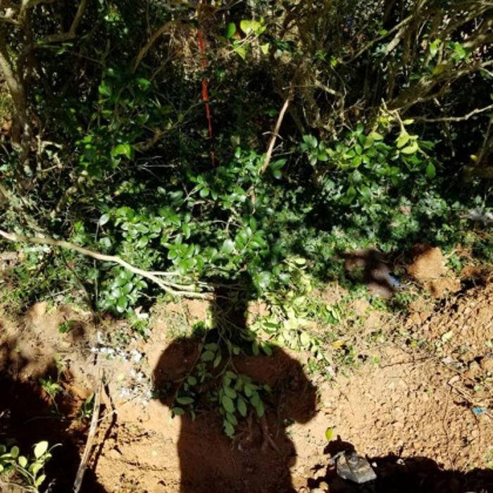 Slide of Drip Drop Plumbing