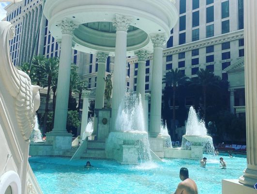 Venus Pool + Lounge by null