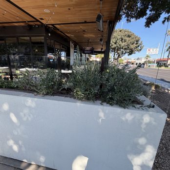 Doughbird - Comfort Food Near Me - Phoenix, Arizona