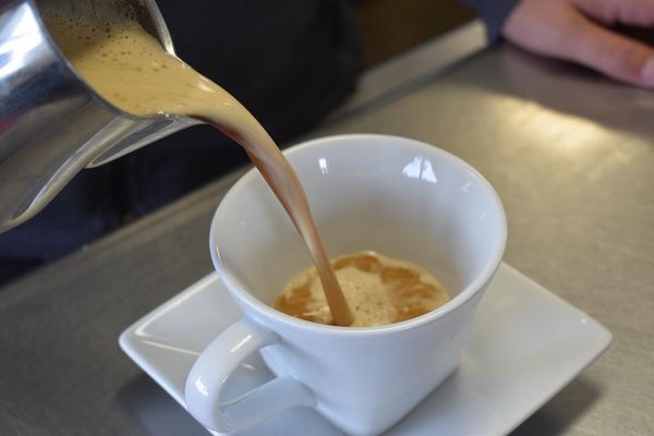 Statesman Coffee Company by null