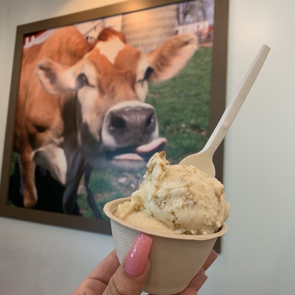 Lick Honest Ice Creams - Ice Cream & Frozen Yogurt Near Me - Austin, Texas