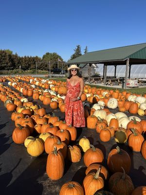 Rulfs Orchard by null