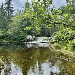 Herman Vogler Conservation Area - Dam going into the Trout River