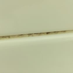 Grand Northern Inn - Mold at its best