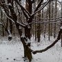 Photo of Hostivařská přehrada
