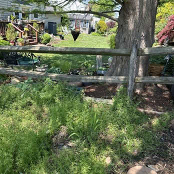Manuel Construction Services - Old fence - damaged and rotting - Landscaping Near Me