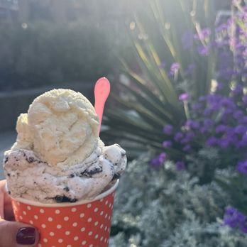 Canarino Gelato - Ice Cream & Frozen Yogurt Near Me - Edmonds, Washington