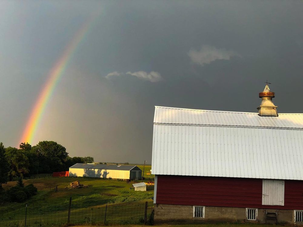 NAMKEN RED ANGUS 45536 189th St, Lake Norden, South Dakota
