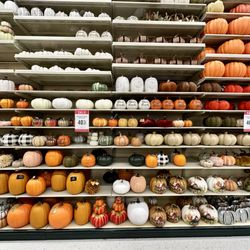 Hobby Lobby - Pumpkins for Halloween and Thanksgiving