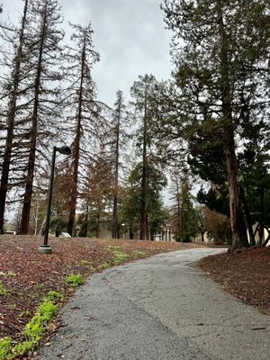 De Anza College by null