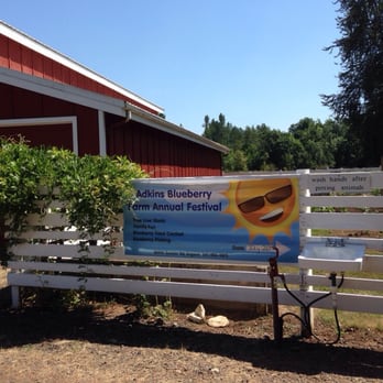 Adkins Blueberry Farm - Wash Your Hands! - Farmers Market Near Me - Eugene, Oregon Adkins Blueberry Farm - Wash Your Hands! - Farmers Market Near Me - Eugene, Oregon