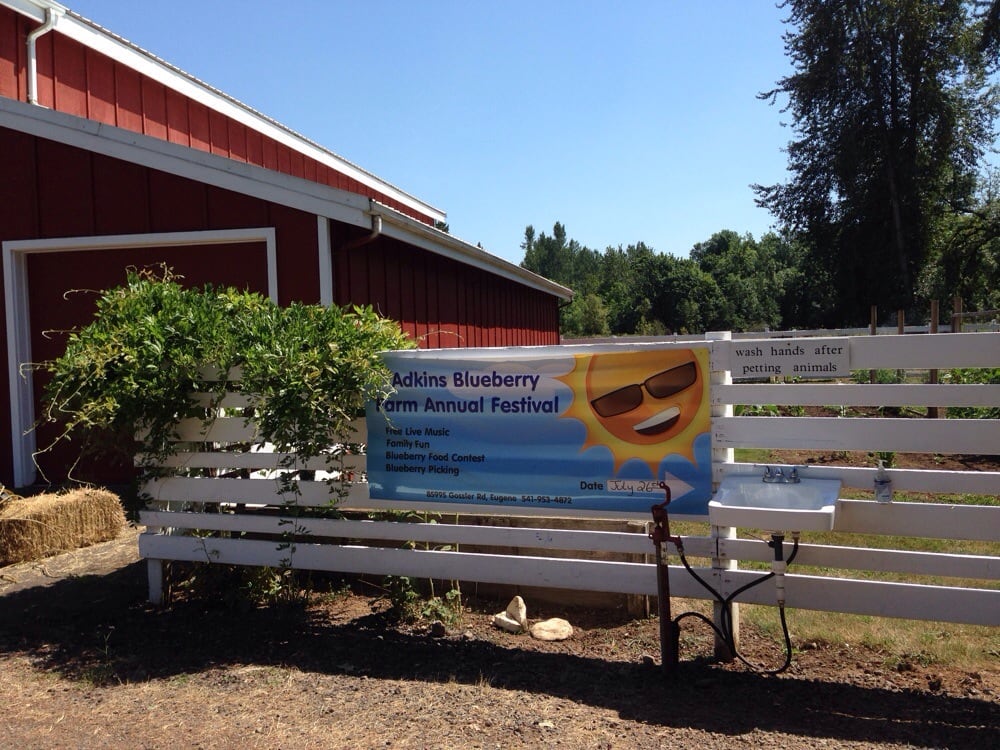 Adkins Blueberry Farm Logo