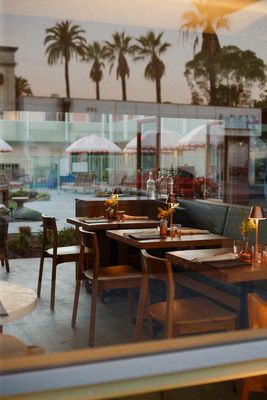 Olive & Rose by null