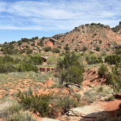 Palo Duro Creek Ranch
